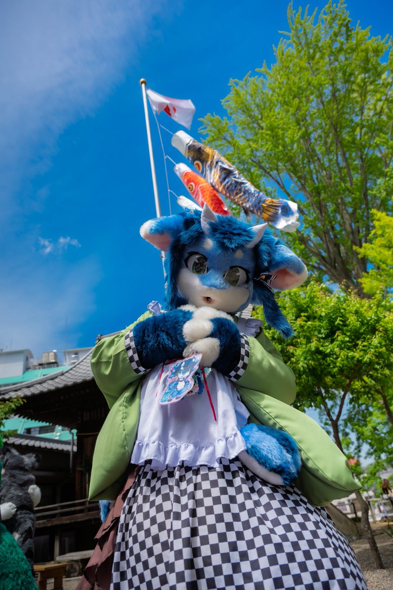碧 tweet media