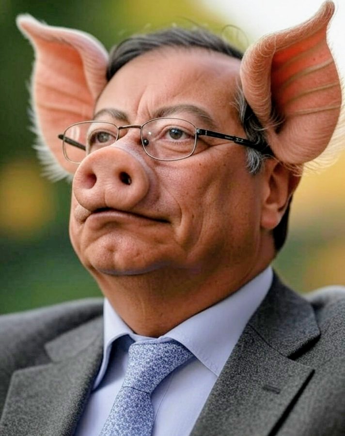 Ed Casta. tweet media