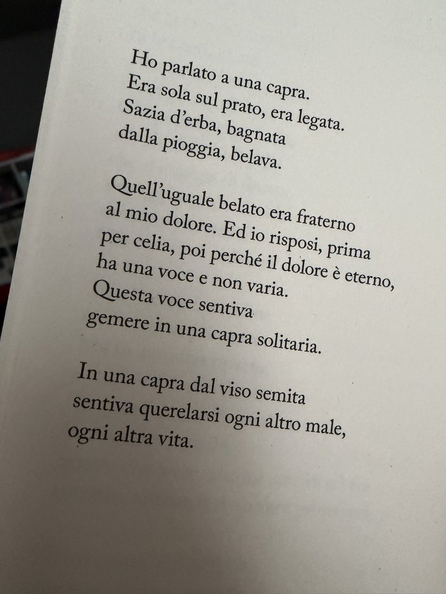 FrancescoCheko's tweet photo. La capra - Umberto Saba
#poesia #poetry #Saba https://t.co/GwSGJafdH3