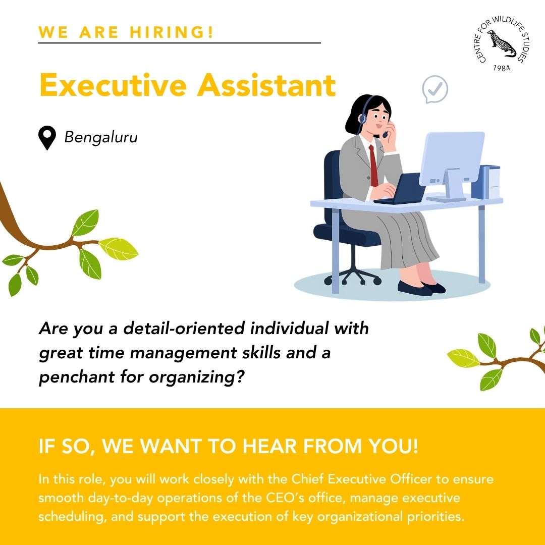 cwsindia's tweet image. The Centre for Wildlife Studies is hiring an Executive Assistant to the CEO. We are looking for a highly organized, proactive, and detail-oriented professional who can manage multiple responsibilities. Apply at cwsindia.org/careers/

#hiring #workwithwildlife #jobopportunity