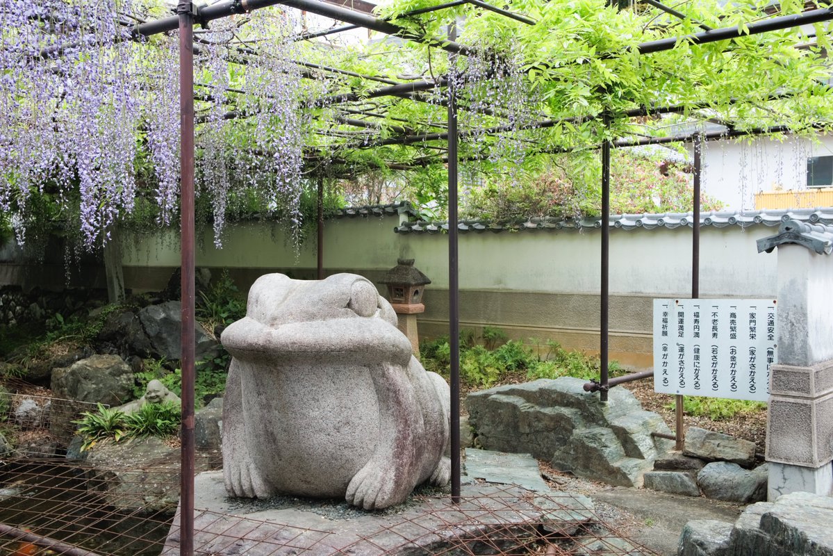 _KZSND's tweet image. 藤を広角ズームで………
#TAMRON 166D