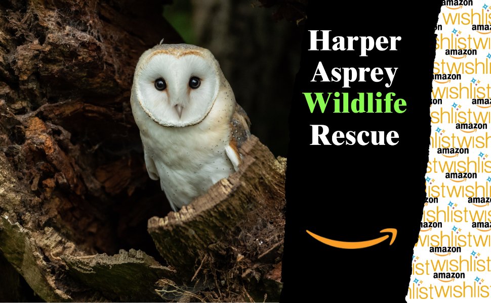 HAwildlife's tweet photo. Please assist us by donating an item from our Amazon Wishlist. We are constantly using the items on our Wishlist, so any donation is greatly appreciated. Link: https://t.co/jAkqkJ2oPH
Thank you so much for your support. Your donations make our rescue possible. https://t.co/FcevgwC9Gw