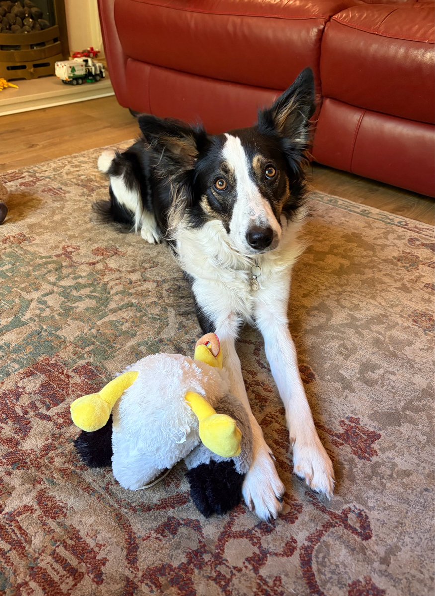Puppy Bess and Auntie Kes tweet media