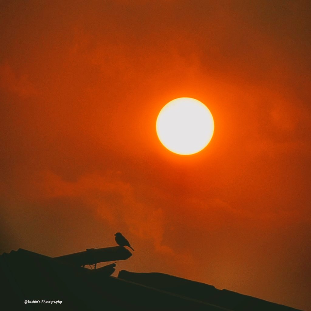 SachinAcharya's tweet image. Today's colour.. Orange 

#photography #Nature #sunsetphotography #StormHour #ThePhotoHour #EarthCurated #withGalaxy #ShotOnSnapdragon