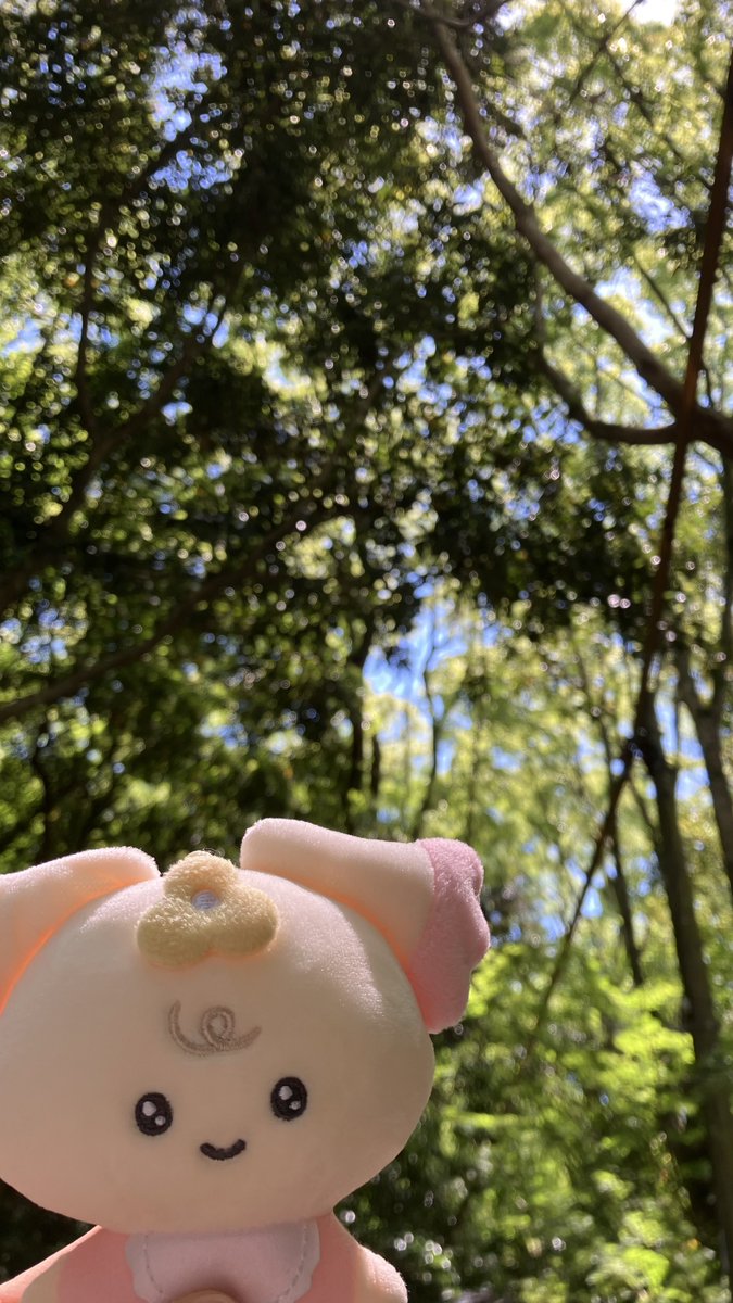 🍓𝕒 𝕪 𝕒 𝕜 𝕒 🦊👑🐈‍⬛ tweet media