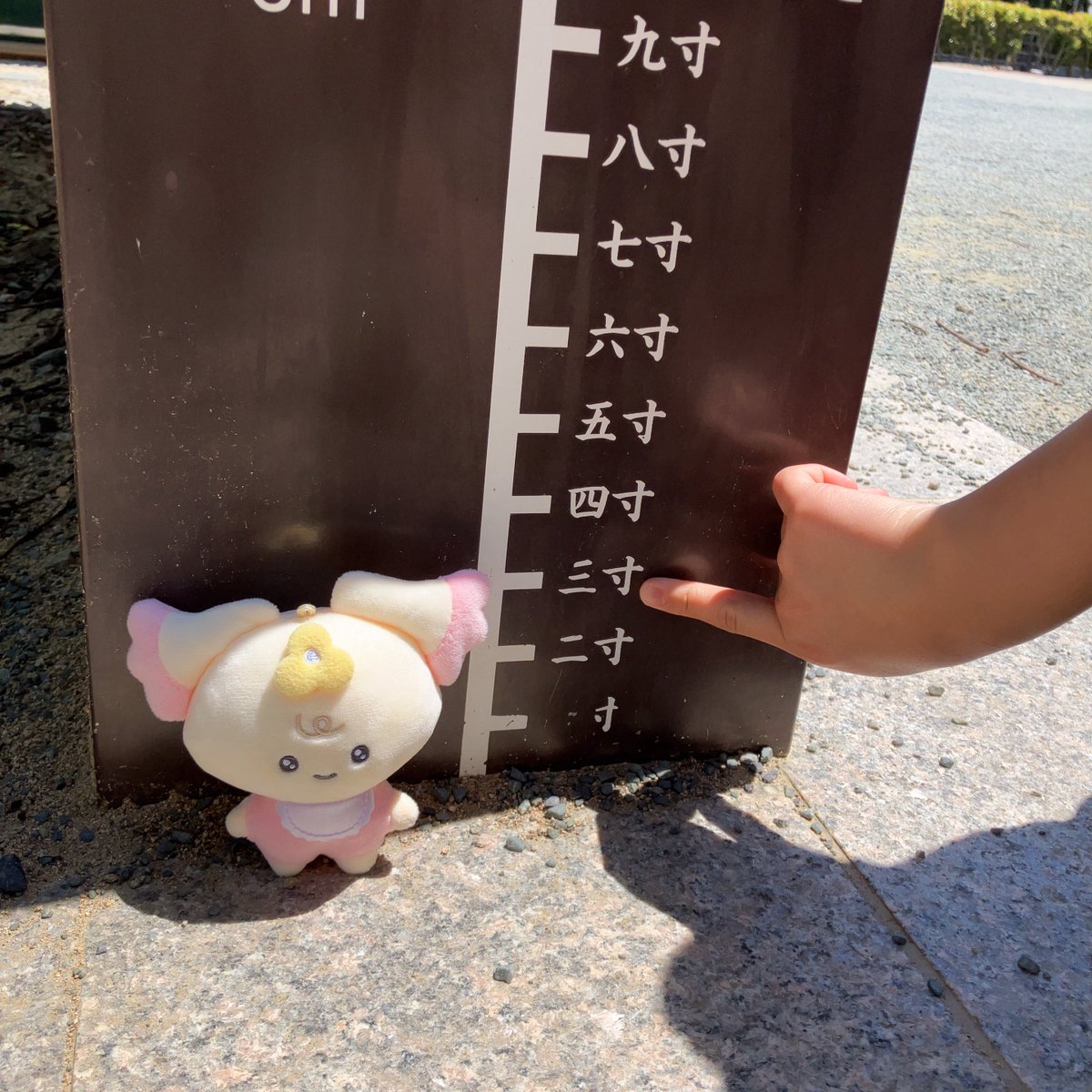 🍓𝕒 𝕪 𝕒 𝕜 𝕒 🦊👑🐈‍⬛ tweet media