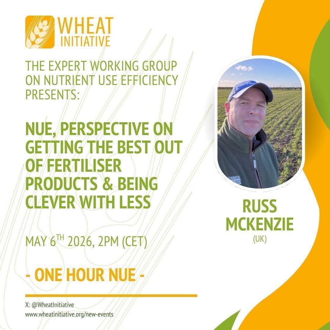 WheatInitiative's tweet photo. Tomorrow: "One Hour NUE" webinar!
NUE, perspective on getting the best out of fertiliser products & being clever with less with Russ McKenzie.
๐๏ธ 6 MAY 2026 | 14:00โ15:00 CET
#WheatInitiative #NutrientUseEfficiency #WheatConnect
https://t.co/39brWiqdyd https://t.co/p2p1bS0tGj