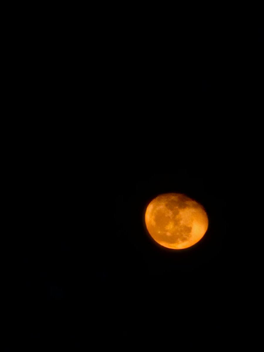 CatMacedonio's tweet image. Aún sigo creyendo que la luna me persigue, y tambien que el amor me espera.

#Luna
