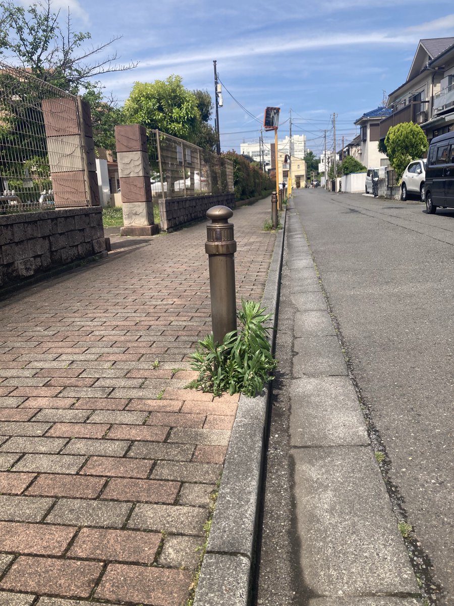 村越 淳太(府中にむちゅう) tweet media