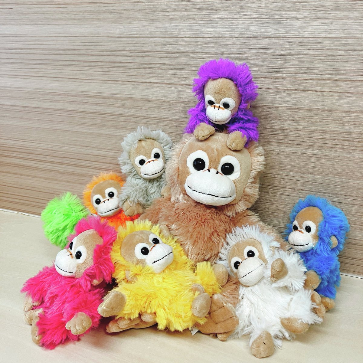 Baby Coco&Natsu tweet media