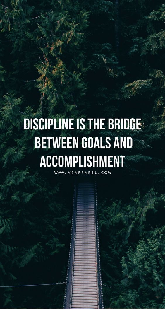 FitnessHacks101's tweet image. Good morning! Have a wonderful day, ...and remember 'Discipline is the bridge between goals and accomplishment'. 

#FitnessMotivation #Wellness #HealthyLifestyle #MindsetMatters #StayActive #SelfImprovement #Motivation #FitFam #NoExcuses #Inspiration #FitnessJourney