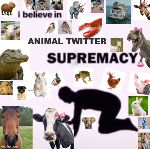 imaboredgoat's tweet photo. animal twitter supremacy. https://t.co/ikrNi0K3rk