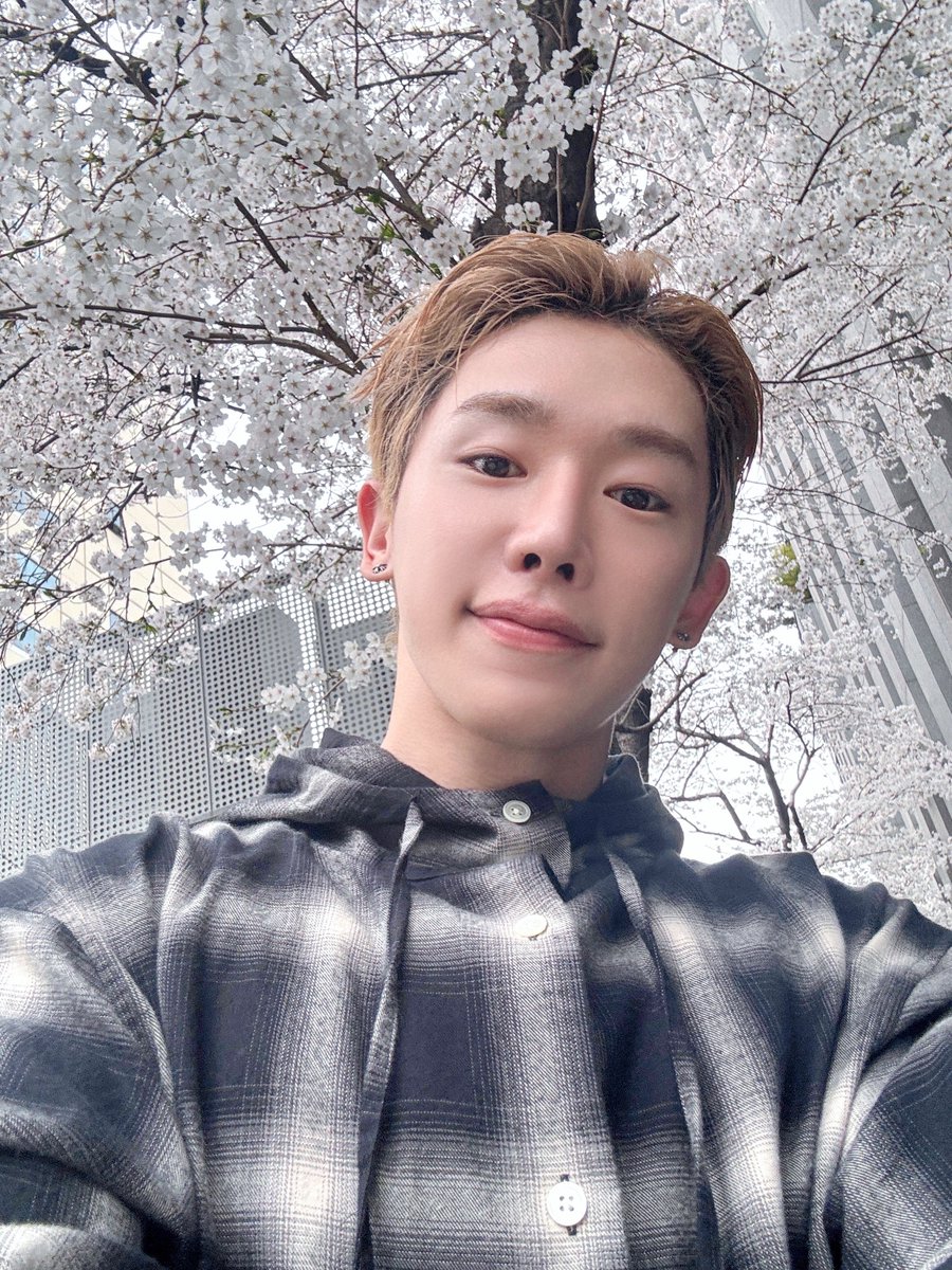 스땃 tweet media