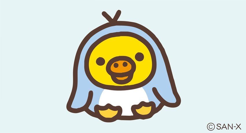 urrmygift's tweet photo. 코꾸몽ㅋㅋㅋㅋㅋㅋㅋㅋ 똑 같 애 https://t.co/lLgnCdUTMU