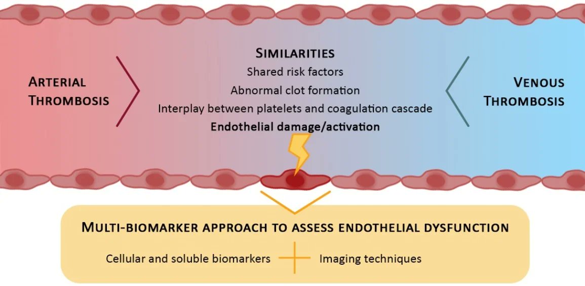 Cells MDPI tweet media