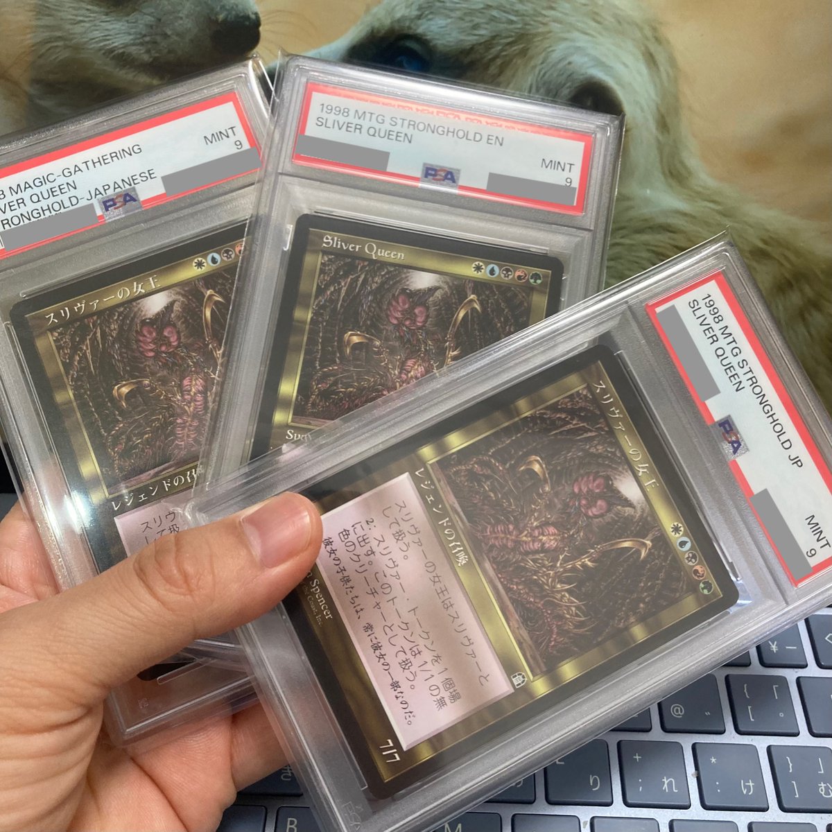 ryo_jpstock's tweet photo. 【スリヴァーの女王】

PSA鑑定🕵️
結局また9でした〜。
10取れるまでやるけど、もう美品が全然出てこない...。

#MtG https://t.co/cxIkAKaKQI