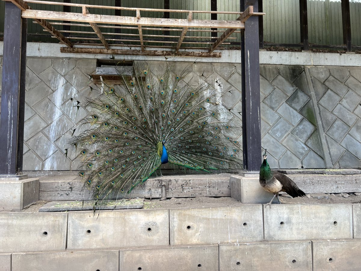 SpikeSakura's tweet photo. 久々に臥竜公園に来た https://t.co/kPQzFCfF6J