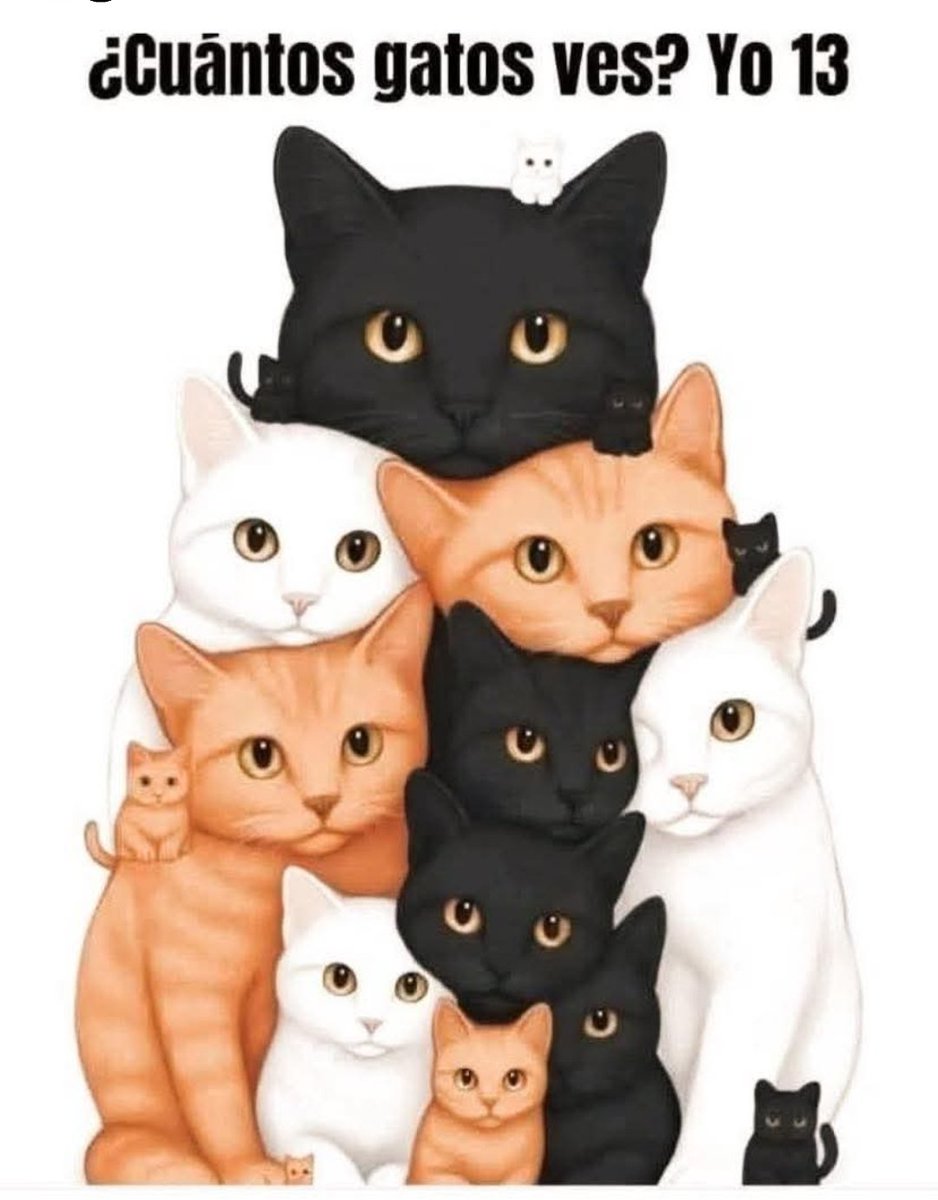 enriquefrog's tweet photo. ¿Cuantos gatitos  ves ? 
Yo 13 https://t.co/BDaOCktUsG