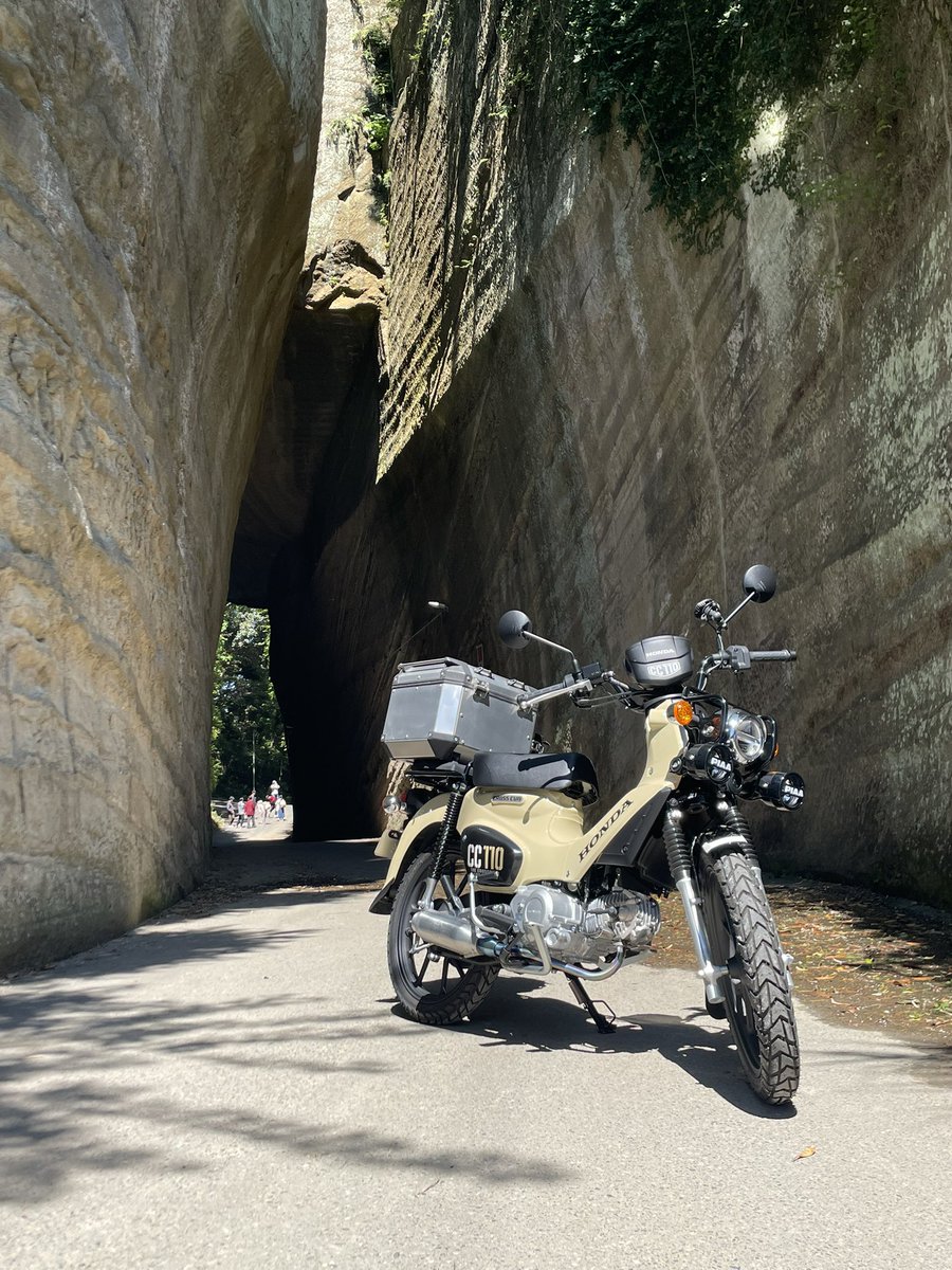 いんふぉれ@ロードバイク乗りたい tweet media