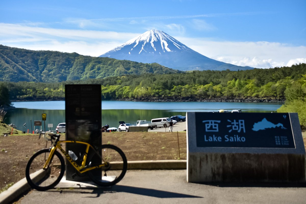 eroaki53's tweet photo. ／^o^＼ﾌｯｼﾞｯｻｰﾝ ﾌｯｼﾞｯｻｰﾝ https://t.co/SYN1JAsqXi