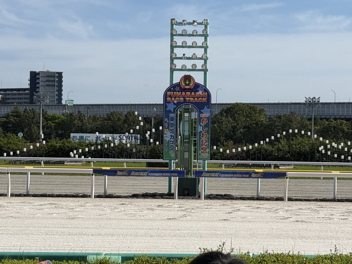 ひろ tweet media