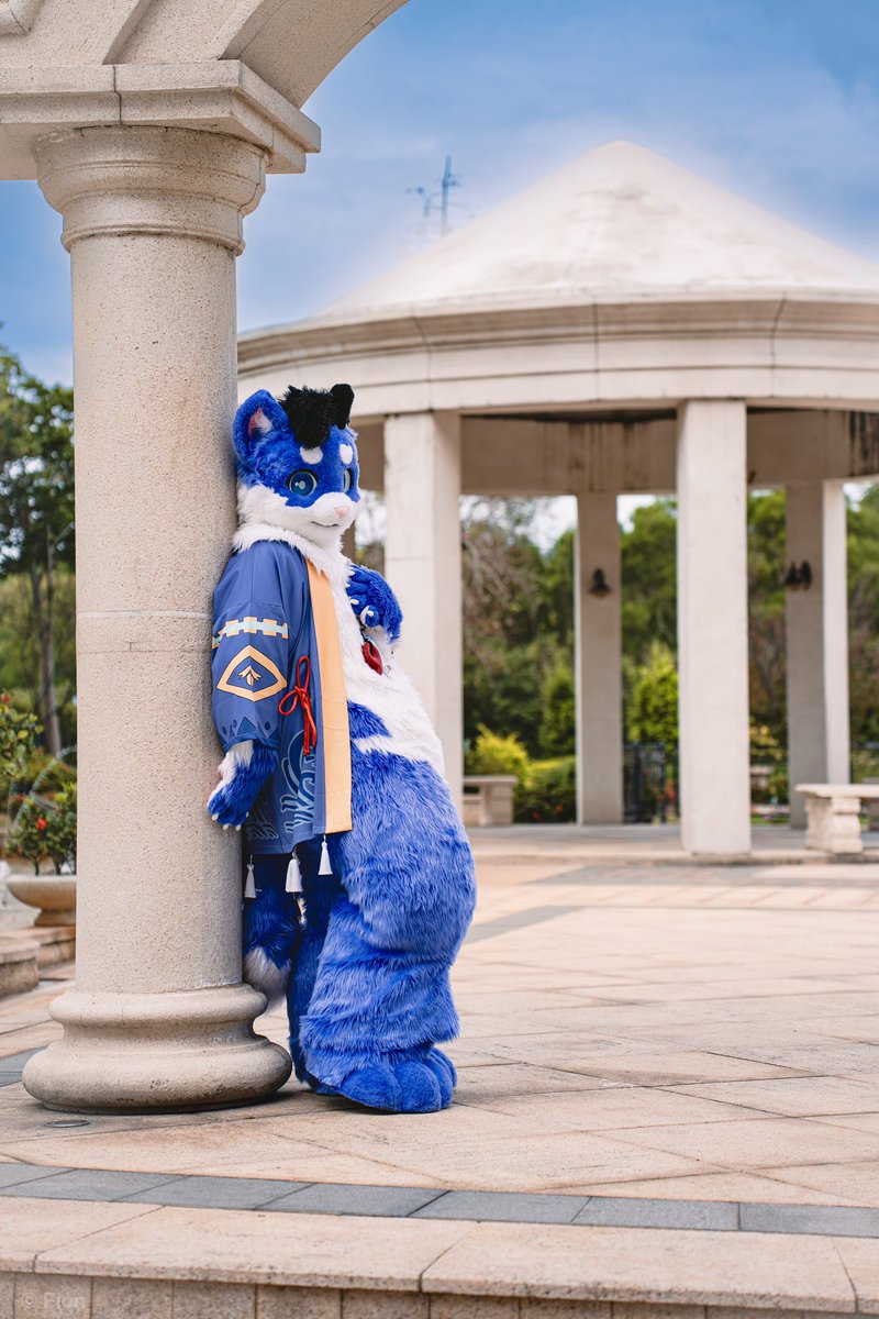 naganobinbin's tweet photo. 嗯哼哼...//（？

🧵：@KemoTianou 
📷@Fion_053105 
#FursuitEverday https://t.co/TCTsC7cudI