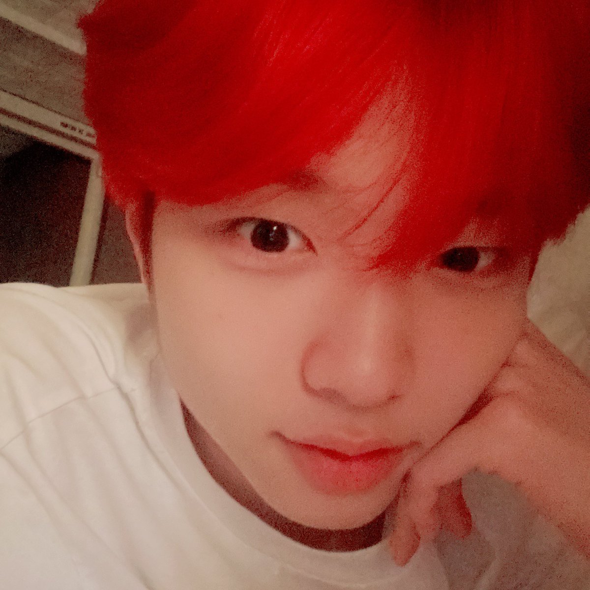 뾰꼼 tweet media