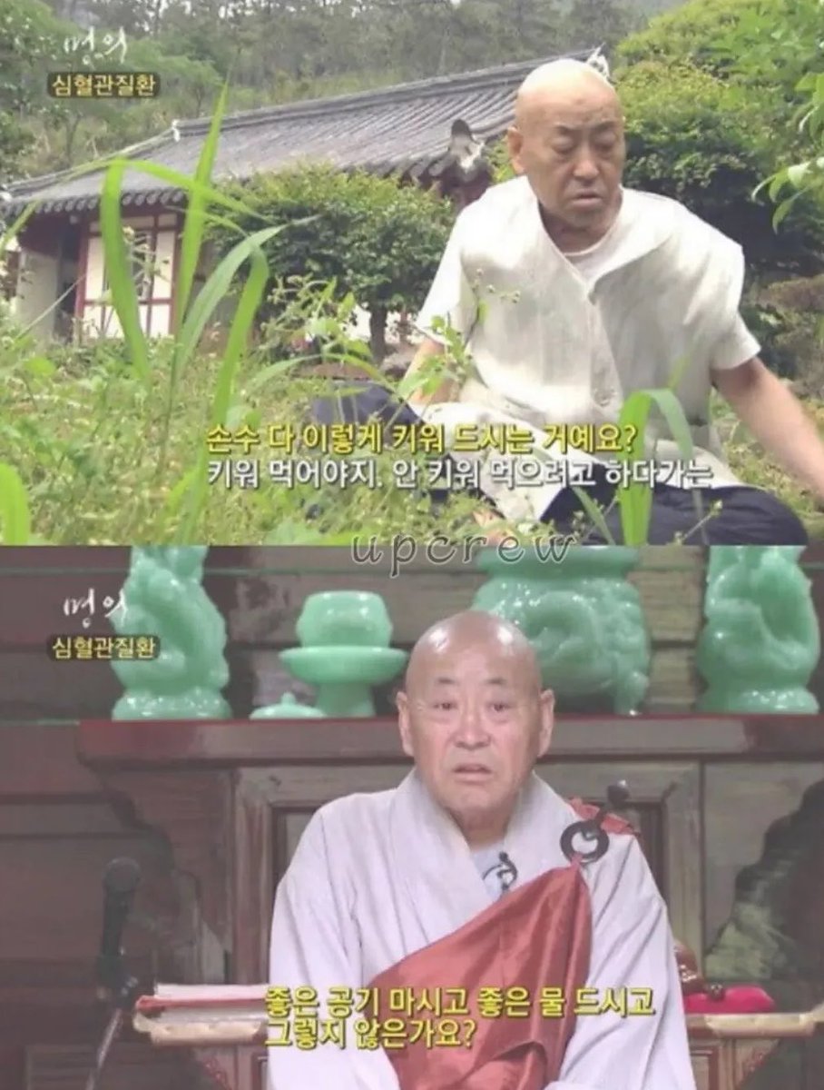 캣츠파파 tweet media