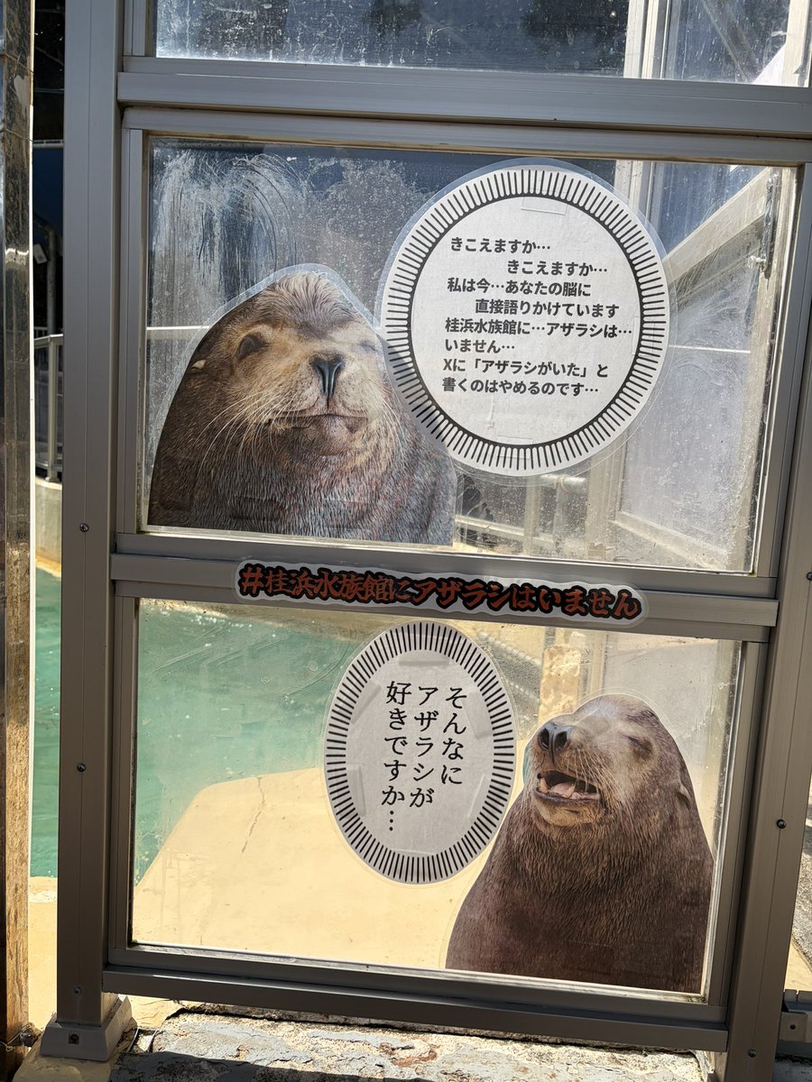 いませんでした