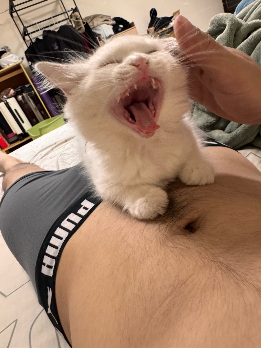 小時候就是頭怪獸了