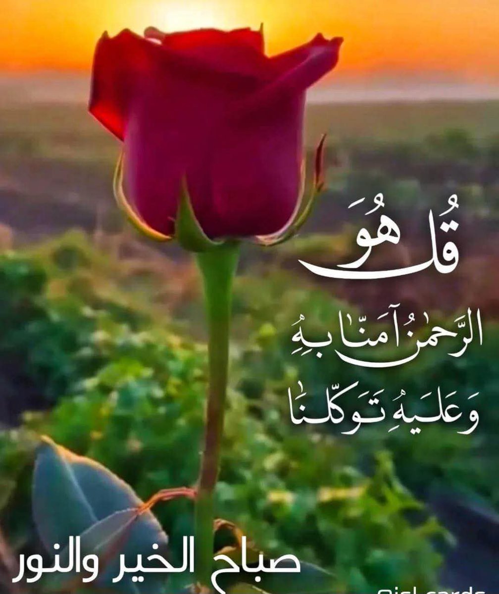 <a href="/t9OpS2qeniT6aDP/">ابو نور</a>