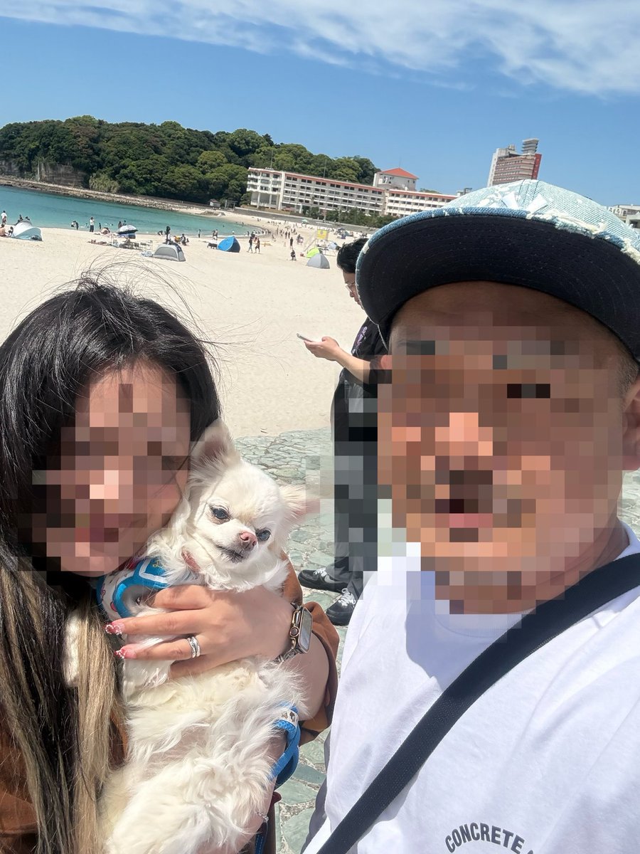 ごま粒 tweet media