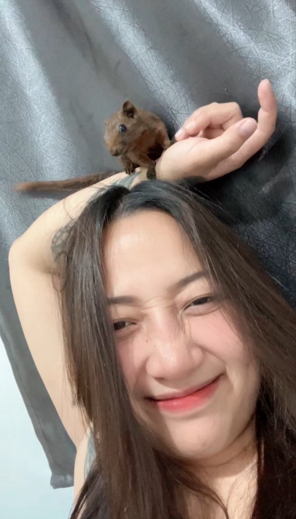 ปะปะ ปูเป้ 🦀 tweet media