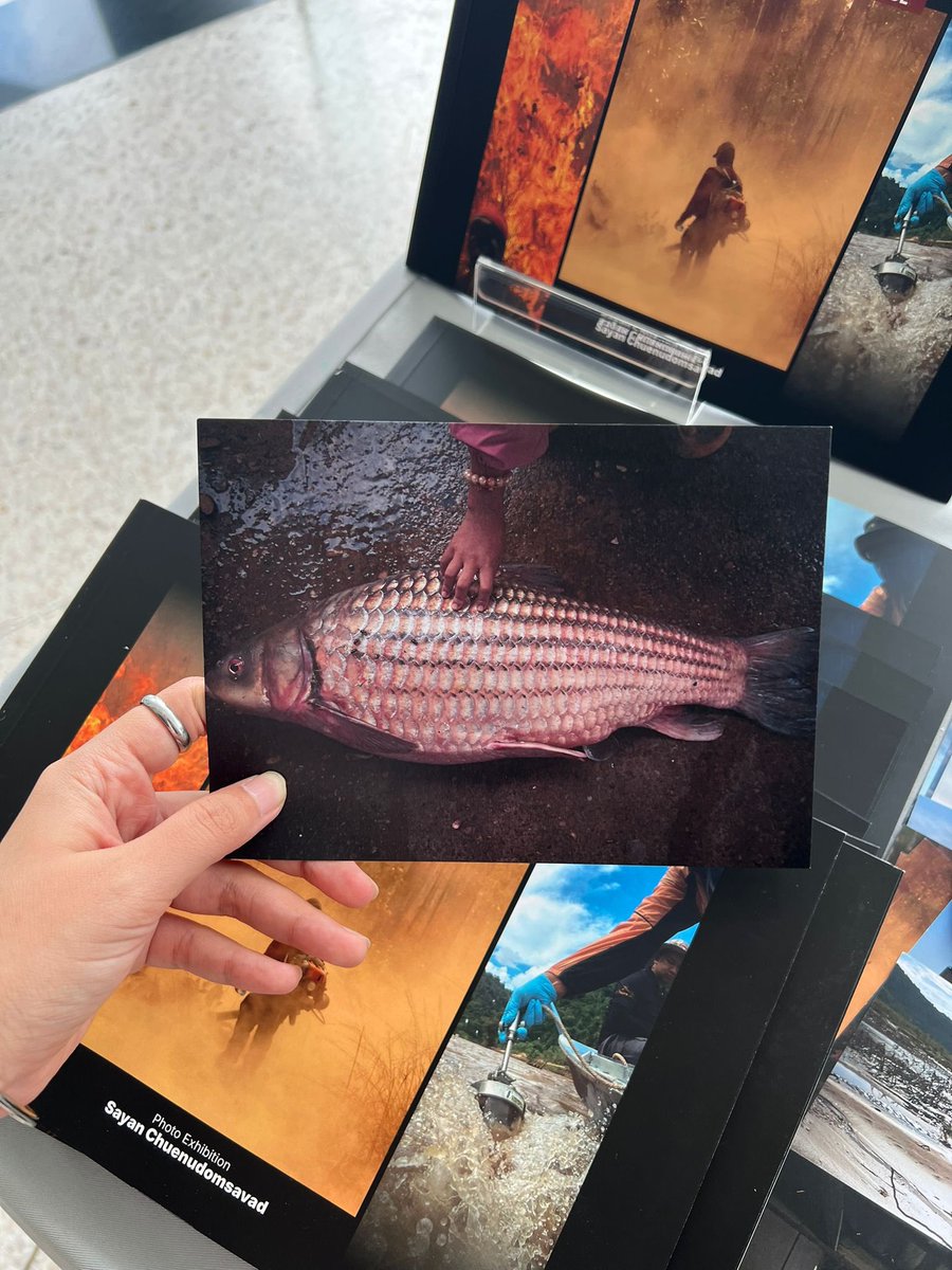 SEAJunction's tweet image. Postcards and booklets of the GEN-F Photo Exhibition are now available!! The Launch event is happing this evening from 5.30-7pm at SEA Junction! 
#Exhibition #BACC #Environment