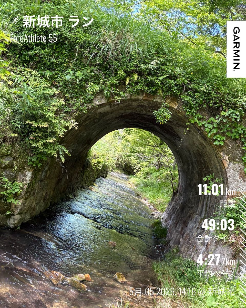 CdoraM30's tweet image. 連休7日目のラン🏃‍➡️
さすが新城は風が涼しくて走りやすい☺️
あと遊びにも行けて、今日が連休で1番堪能できました🙌
#ランニング