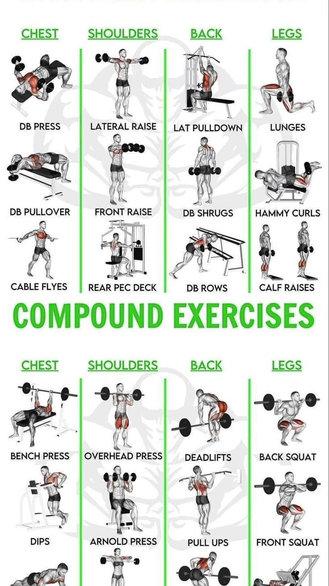 Gym__Hub's tweet photo. Compound Exercises https://t.co/k1jOjVDtjZ