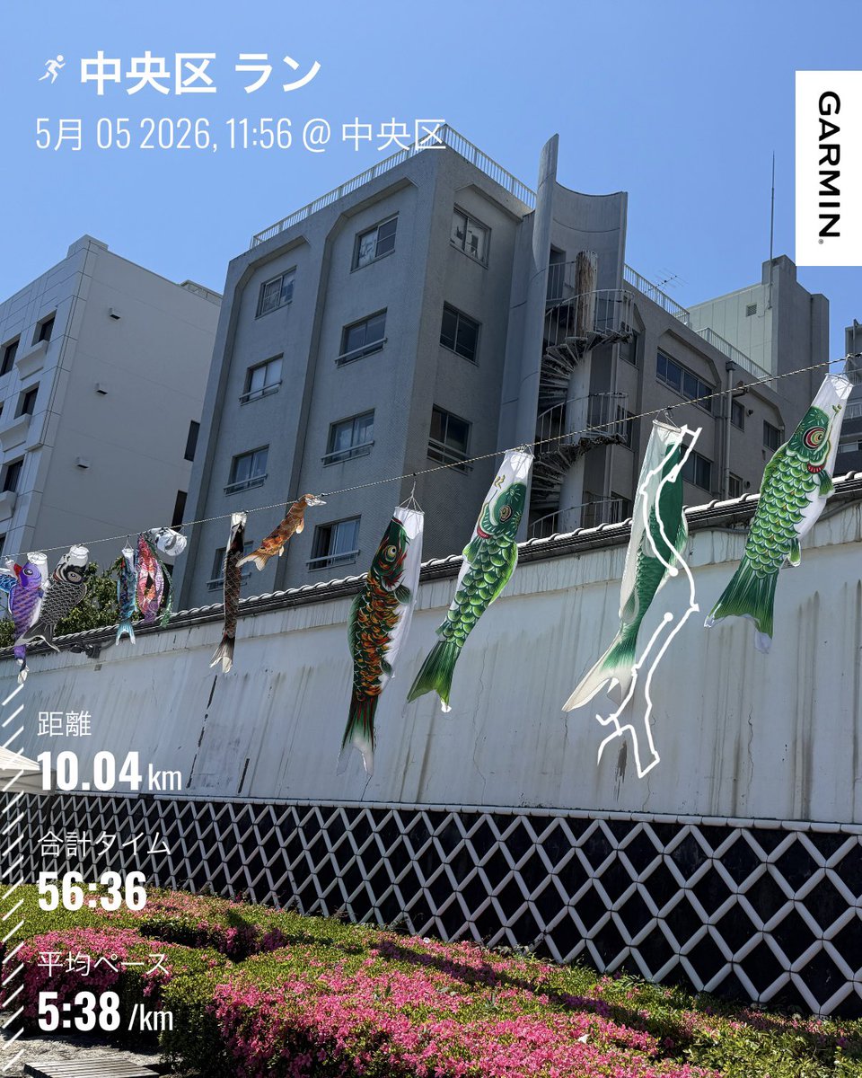 yoshieej7_sumid's tweet image. 今日もいい天気☀️昨日のリカバリー的に走ろうという感じでしたが、なんだかんだペースもそこそこで結局10km走ってました🏃‍♀️
昨日今日で走る感覚を思い出したんでよかったです😊
#ランニング 
#隅田川テラスラン