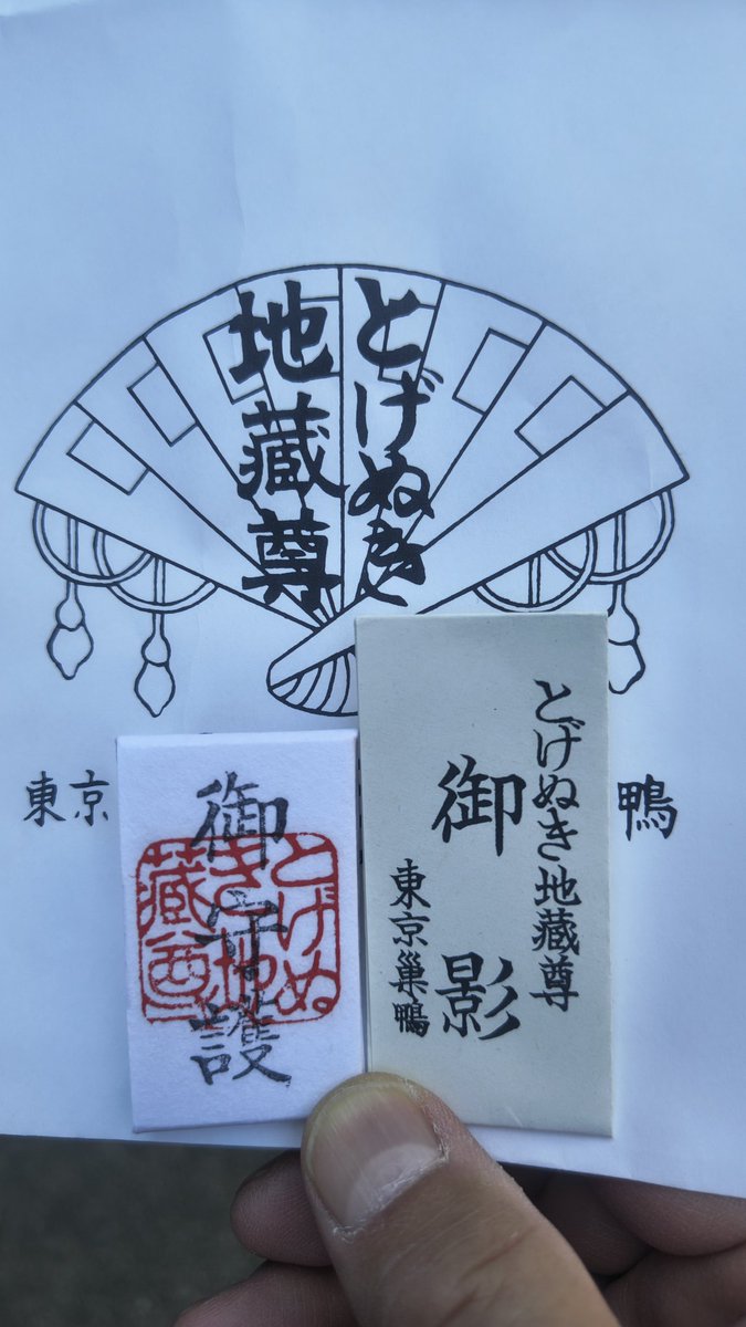 かっぴ tweet media