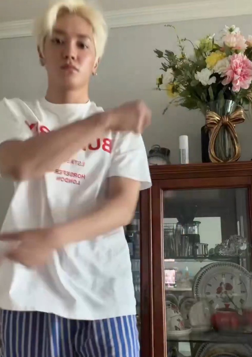 ศิลปินที่เหมือนฉันในด้านใส่เสื้อซ้ำอยู่บ้าน