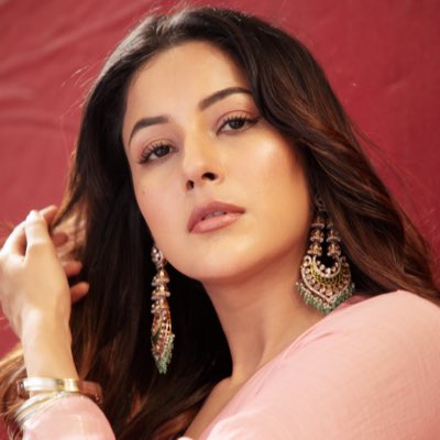 Shehnaaz Gill tweet media