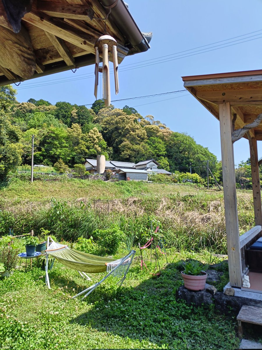 kochidodesuka's tweet photo. 明日、5月6日水曜日、急遽営業することにしました😊
皆様どうぞおこしください✨ https://t.co/PleJKlaTLO