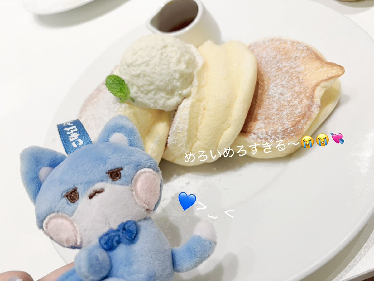 もふしんぐにこ🐱💙@声のでかさは君への愛‼️ tweet media