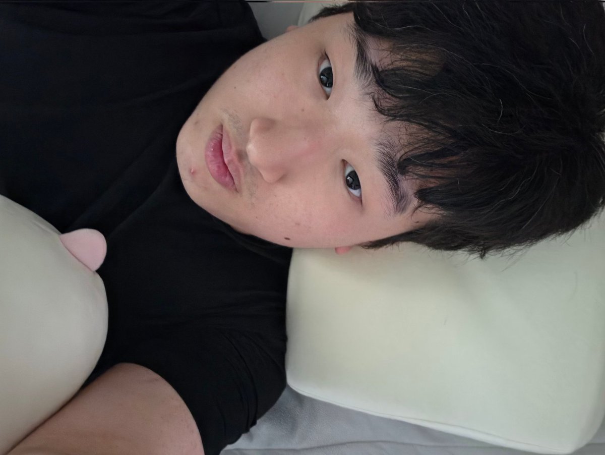 호시 tweet media