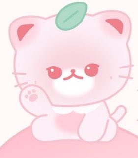 มูมู่จอง ໒꒱ tweet media
