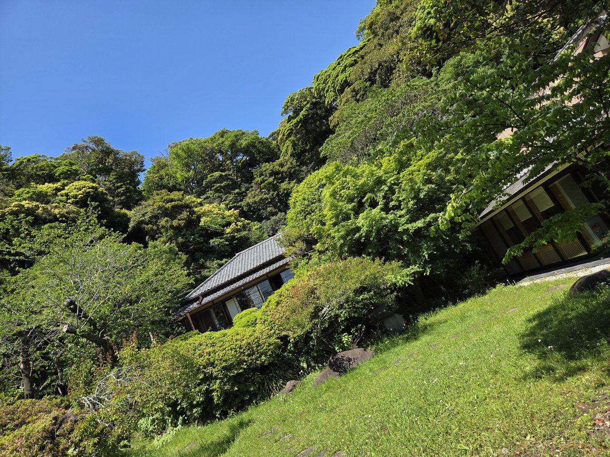 ルリ tweet media