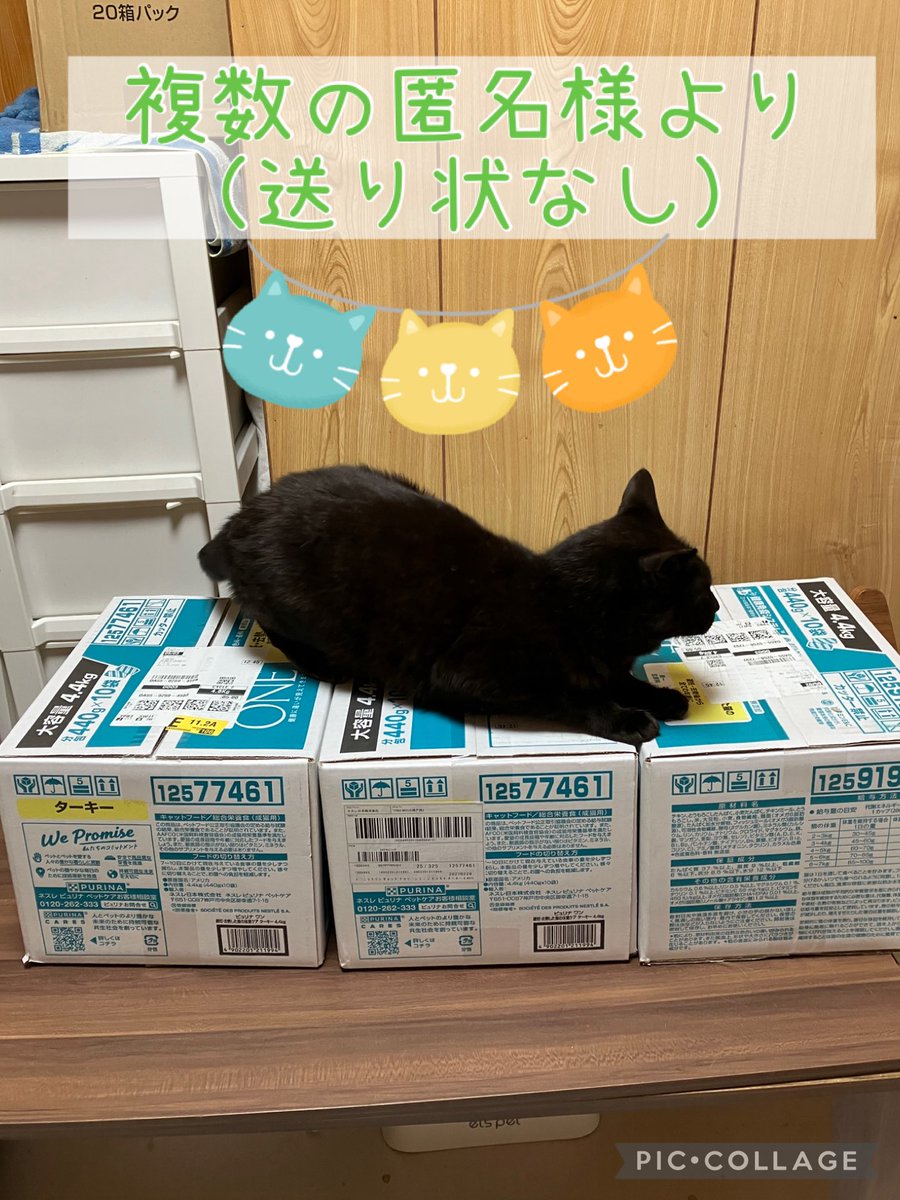 ご支援の報告です🐾
こちら送り状がなく送り主がわかりません💦
もし心当たりのある方がいらっしゃいましたら返信かDMにてご連絡お願い致します🙇‍♀️
現在ドライフードの在庫が少ないのでとても助かります✨️ありがとうございます！M

#ねころび荘 #支援物資 #お礼
