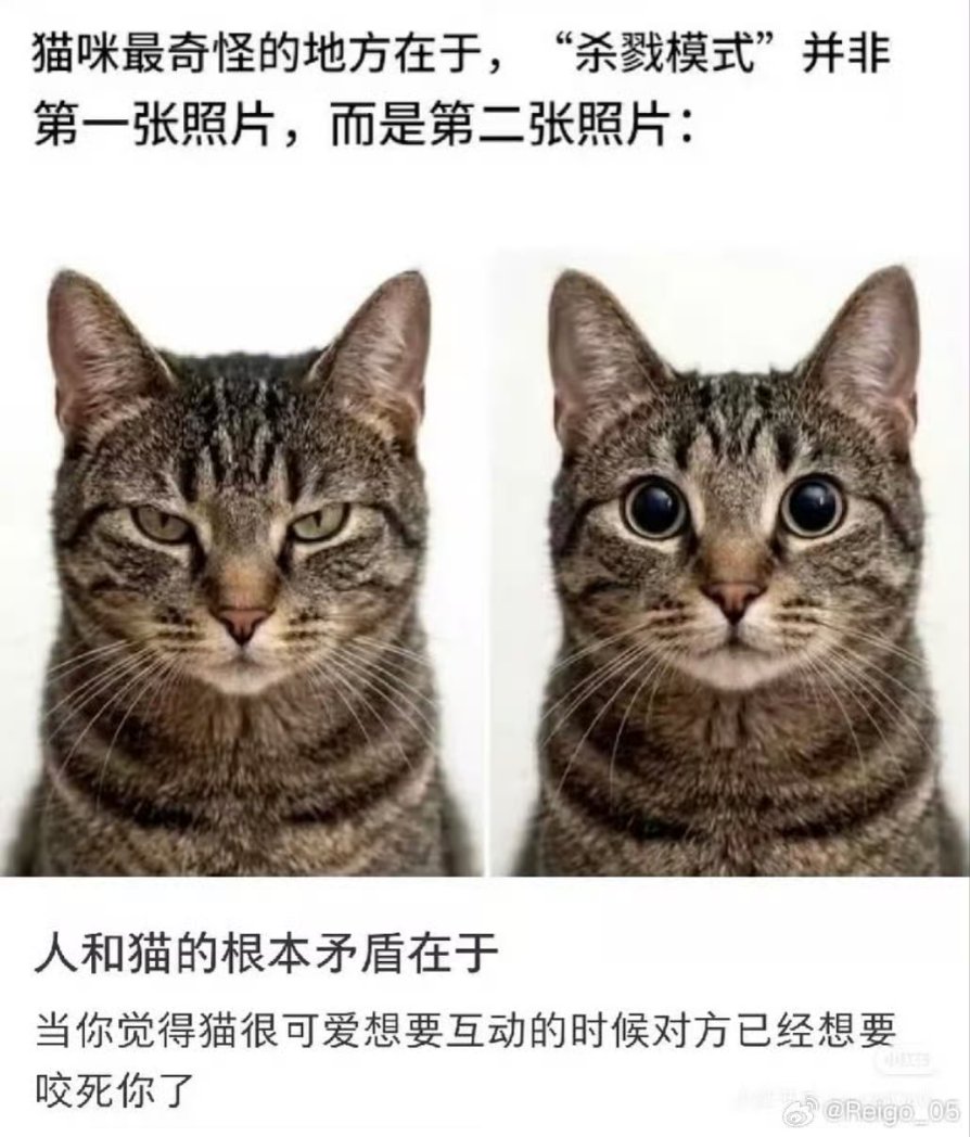 信号 tweet media