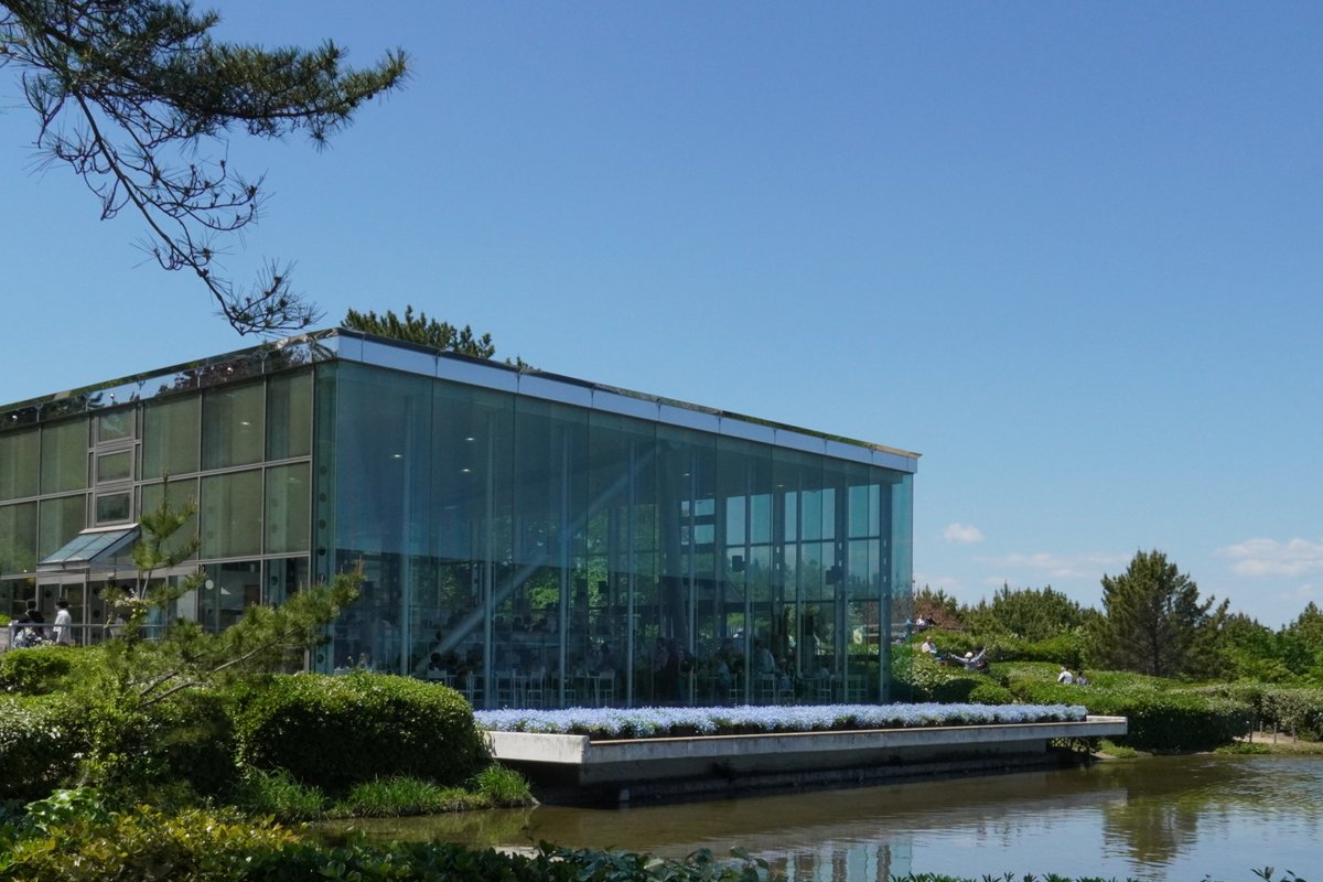 国営ひたち海浜公園【公式】 tweet media
