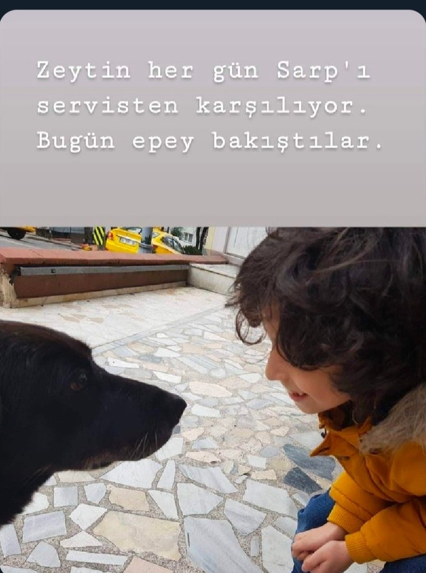 SezerSARIGL's tweet image. Şefkatli ve vicdanlı insanlar vardır. Babacandırlar , anaçdırlar. Çocukken almışlardır bu özelliklerini.#bosh #anne #baba