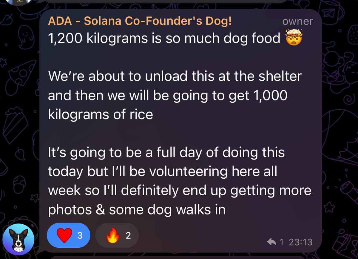 Ada Tolys Dog 🌭 tweet media